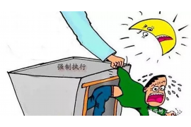 沙湾区专业催债公司的市场需求和前景分析