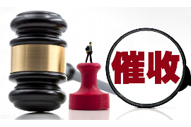 沙湾区为什么选择专业追讨公司来处理您的债务纠纷？